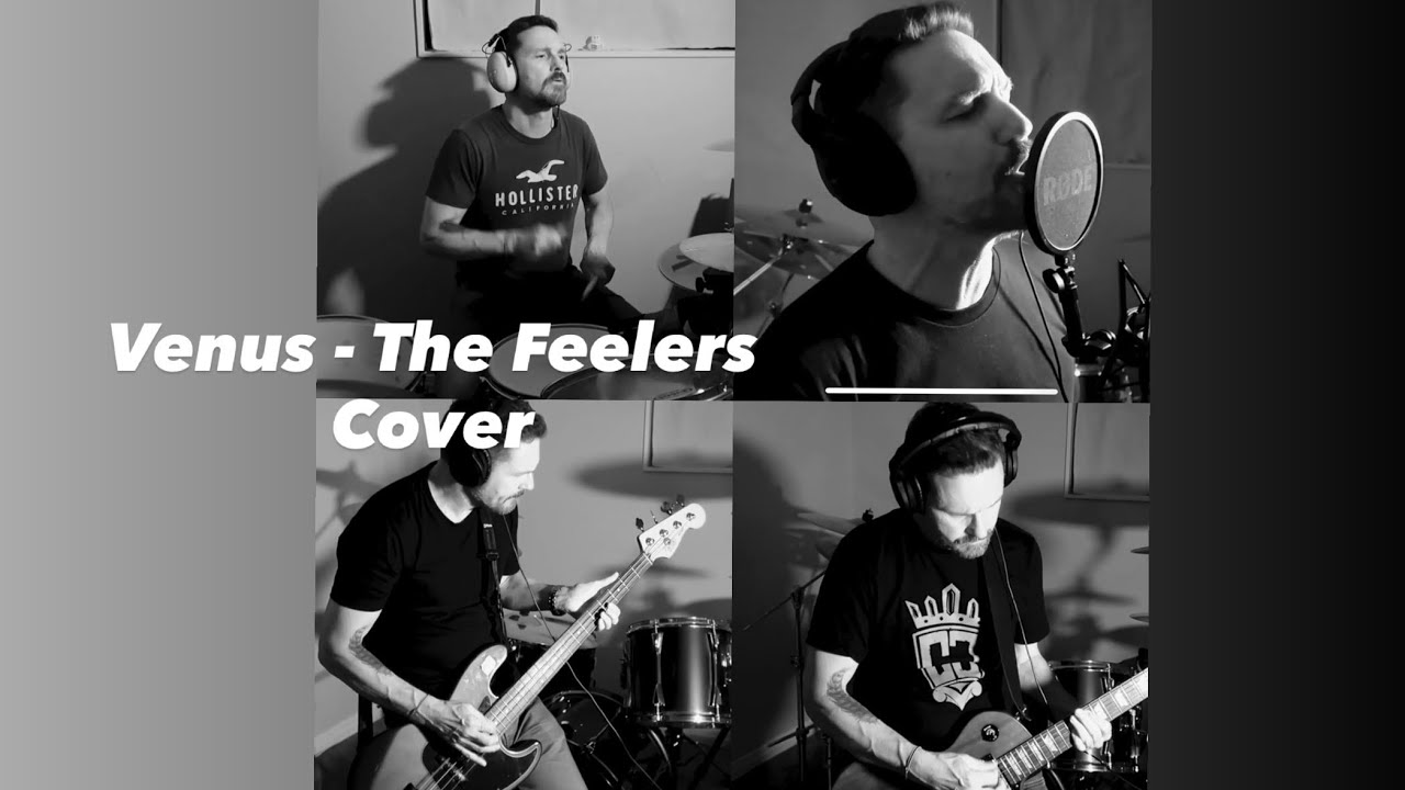 The Feelers  - Venus Cover
