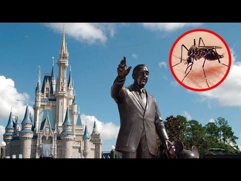 How disneyworld kills