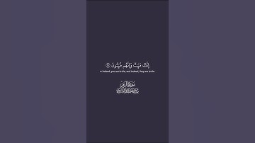 #قرآن #quran #ياسر_الدوسري #سورة_الزمر