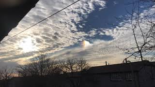 Definitely not a sundog 🤣🤣🇬🇧