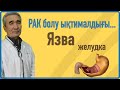 Асқазан жарасы (ЯЗВА) / қалай емделеді?