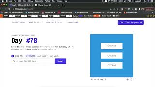 100 days css day78