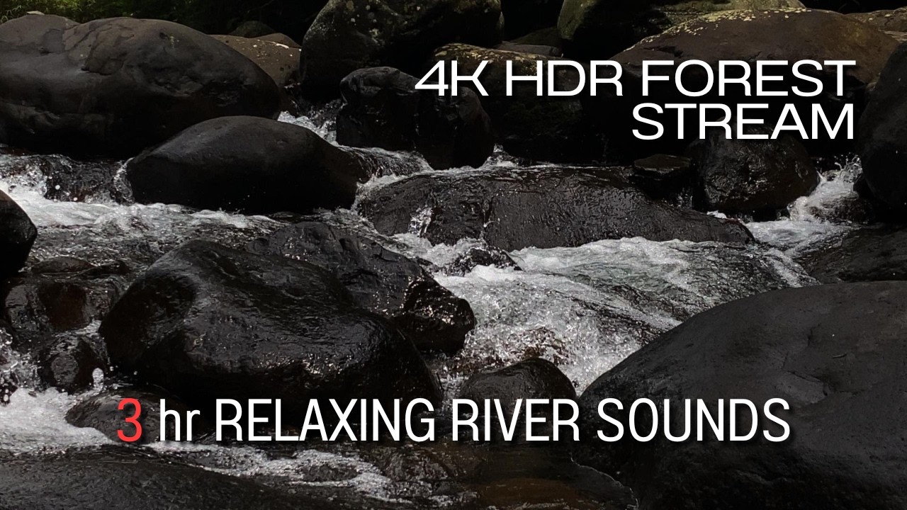 4K HDR Forest Stream - Relaxing River Sounds - No Birds - Natural White Noise - Relax/ Sleep/ Study