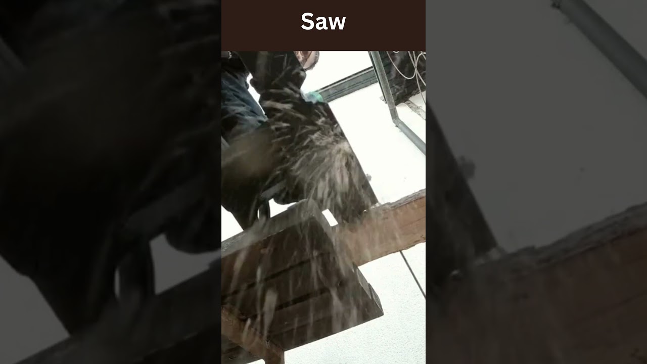 Mesmerizing Chainsaw Woodworking in 6 Seconds! 