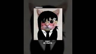 WHY By plave (speed up)