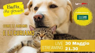 Come li amiamo, come li curiamo