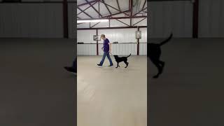 Oliver- Basic Board and Train Program