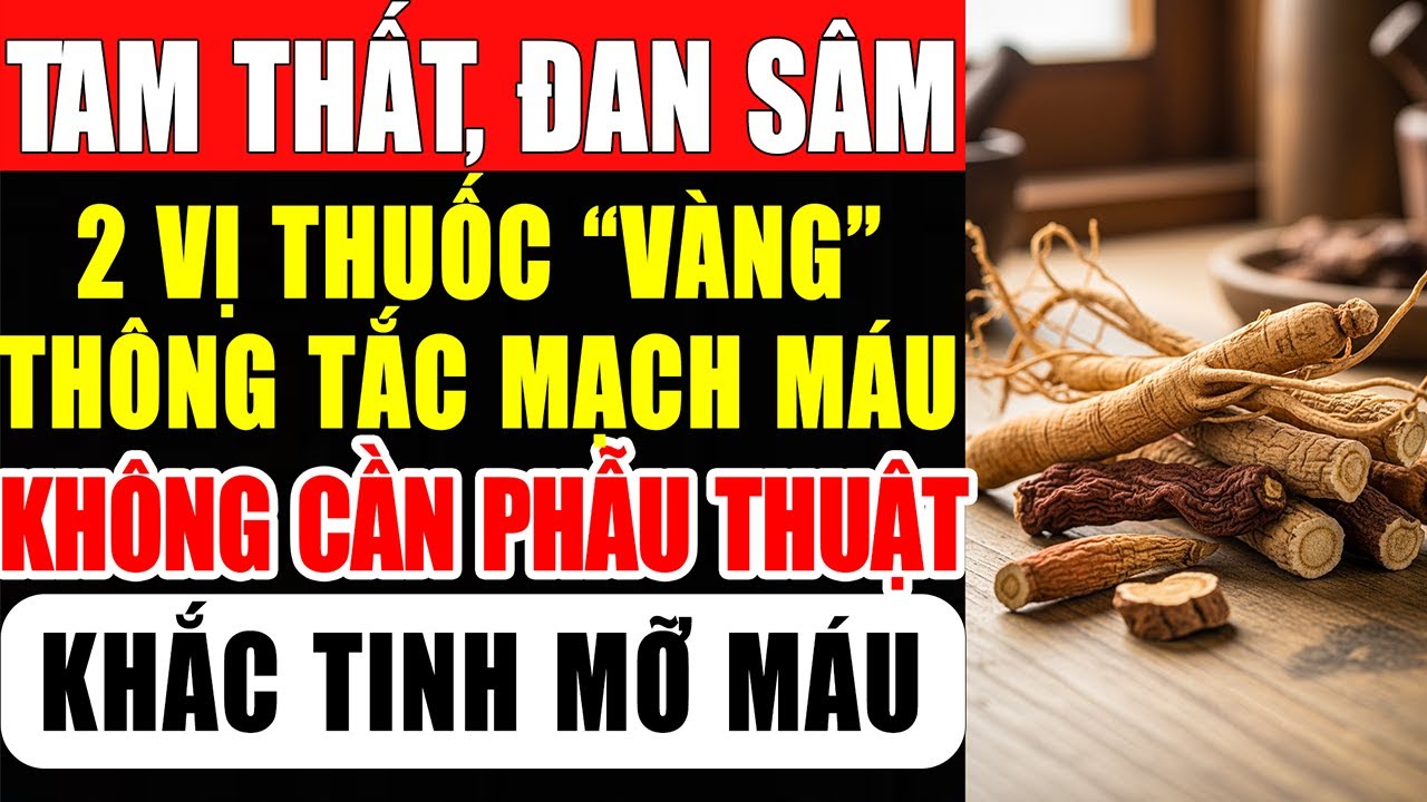 TAM THẤT & ĐAN SÂM: Công Thức 