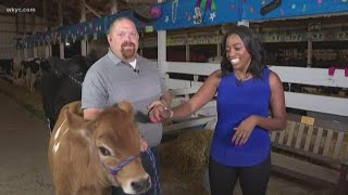 Last day at the Stark County Fair