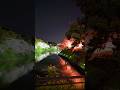 九段坂公園から見た千鳥ヶ淵緑道の桜のライトアップ　#shorts  #shortvideo #short  #shortsfeed #shortsvideo