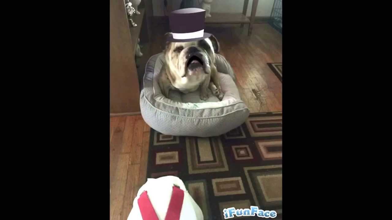 Thank you for Voting for Opie! camera iphone 8 plus apk
