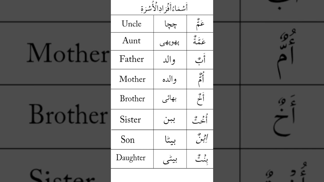 arabic#vocabulary#beginners#dad#mom#brother#sister#shorts#video#viral#arabic#urdu#fyp#family#like