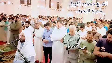 سورة الزخرف لفضيلة الشيخ محمود زكريا من مسجد الفردوس