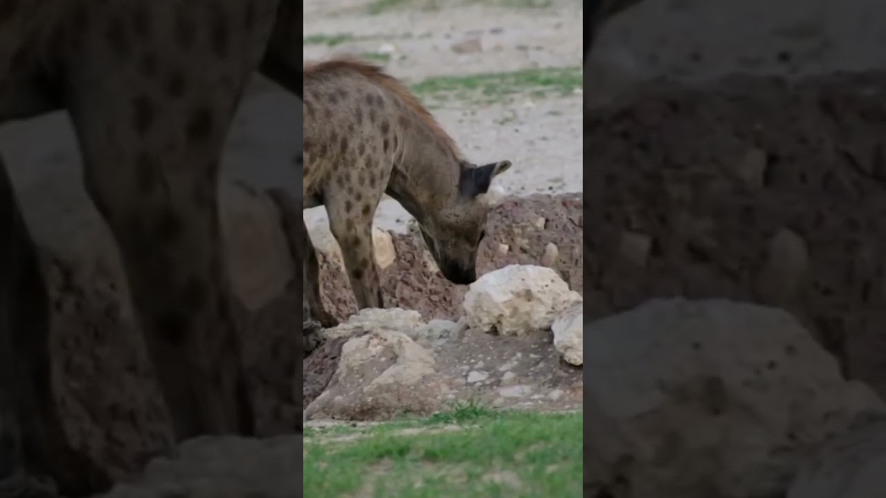 The story of Marie se Gat waterhole