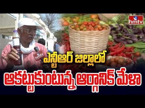 ఎన్టీఆర్ జిల్లాలో ఆకట్టుకుంటున్న ఆర్గానిక్ మేళా | NTR District | Organic Mela | hmtv - HMTVNEWS
