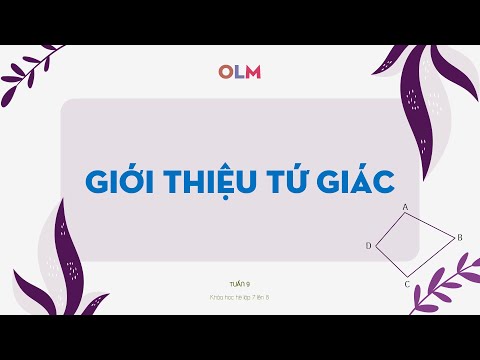 Giới thiệu tứ giác – Khóa học hè – Toán 7 lên 8 – OLM.VN