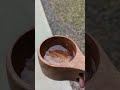もう一つの天然炭酸水!‥大塩天然炭酸水!