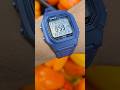 Orange Peppers Blue Casio Watch