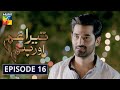 Tera Ghum Aur Hum Episode 16 HUM TV Drama 20 August 2020