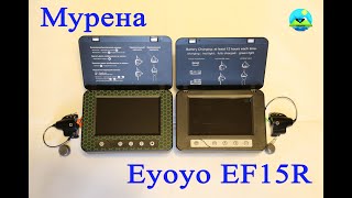 Подводные Видеокамеры МУРЕНА и её аналог Eyoyo EF15R