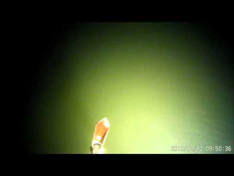 подводная охота сафари