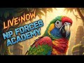 Jungle Birb ForestCalm Tropical Rainforest Bird Room Sounds to Relax Your Parrot Parrot Town TV