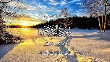 28 - سورة القصص - سعد الغامدي - Sourate AL-QASAS - Saad El Ghamidi