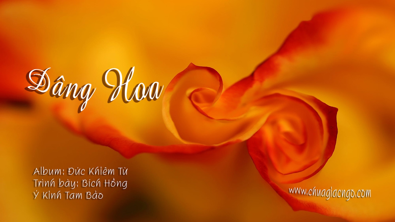 Dâng hoa - Bích Hồng