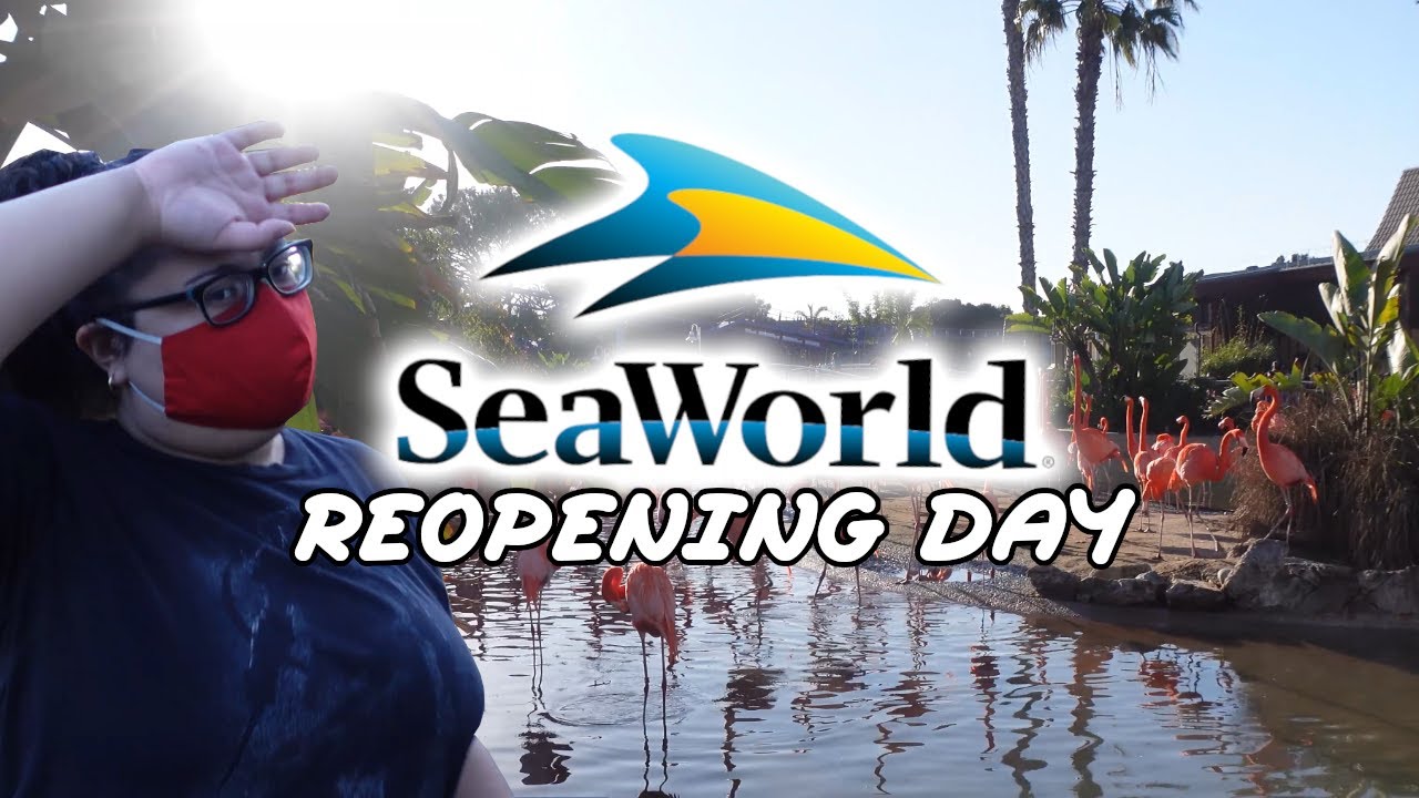 SeaWorld San Diego OPENING DAY! Our Aquatic Adventure YouTube