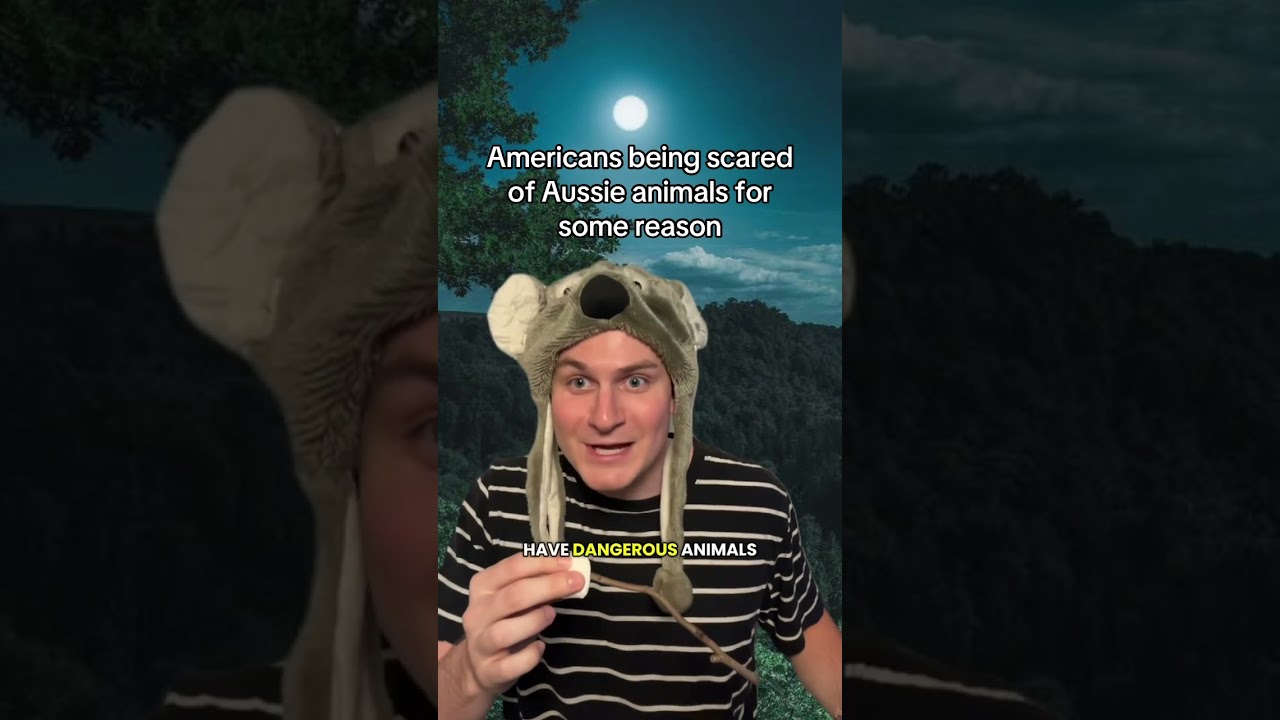 Americans being scared of Aussie animals for some reason 