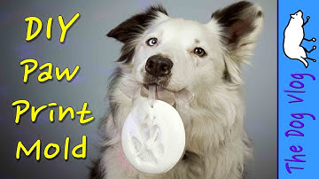 DIY Paw Print Mold