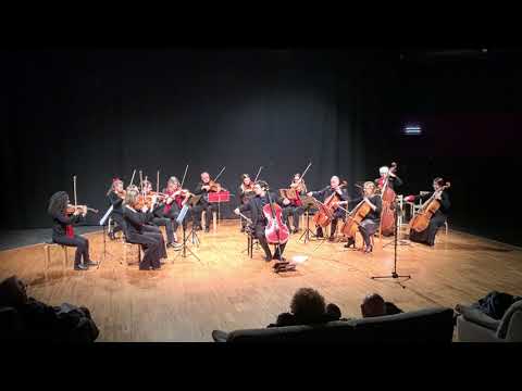 R.Pes - HIMALAYA (with the Blanc String Orchestra)
