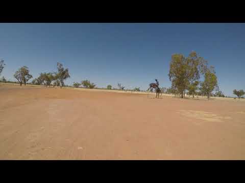 Sculpture Way Rodeo