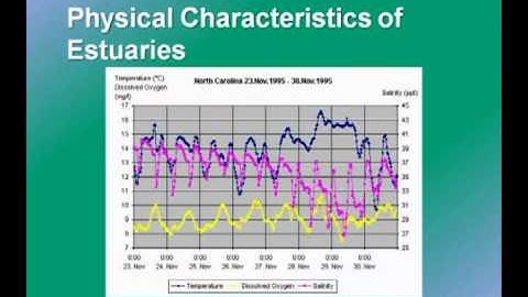 Marine Ecology - Estuarine Ecosystems