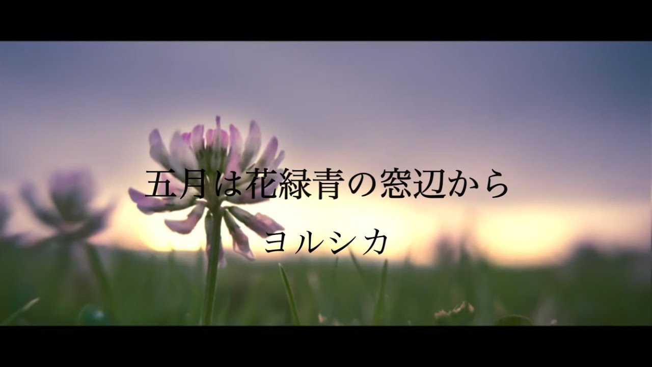 Piano Cover 五月は花緑青の窓辺から ヨルシカ Arranged By 萩 Youtube Piano Cover 五月は花緑青の窓辺から ヨルシカ Arranged By 萩 Youtube