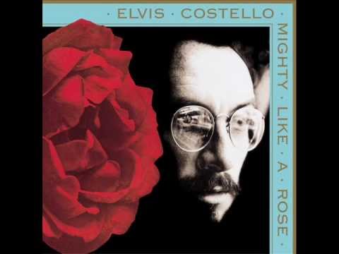 Elvis Costello (+) All Grown Up