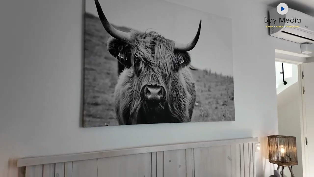 Showcase Your Rental Property Like Never Before with BayMedia!