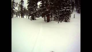 Mt. Wolverine Summit