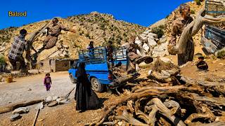 The secret to nomad survival in harsh winters: a mission to collect firewood
