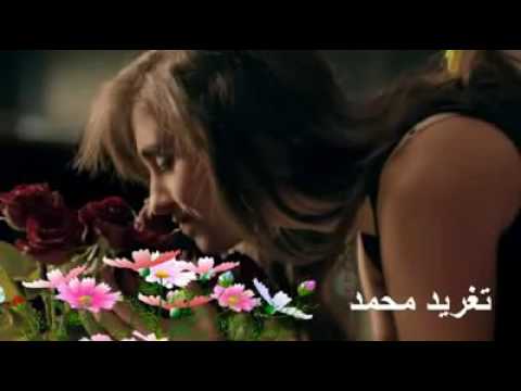 الطيب عبد الله مابعاتبك فى الفات تسجيلات تغريد محمد