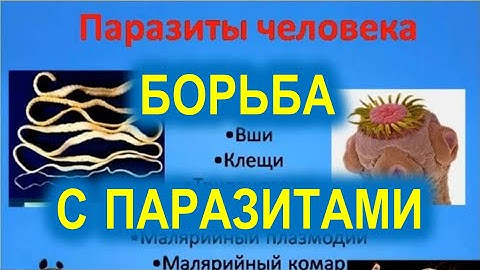 Врач-иммунолог Геннадий Кулеша о борьбе с паразитами с помощью леденцов APL