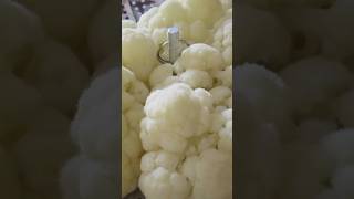 Perfectly STEAMED CAULIFLOWER ? So YUMMY ? shorts short food