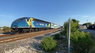 Tri-Rail P667-21 @ 15th Street - Sunday, April 21st, 2024 - 8:36 AM