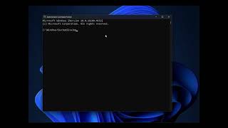 How to use the WinGet tool to update applications