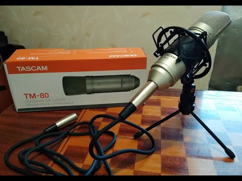 Микрофон Tascam TM-80
