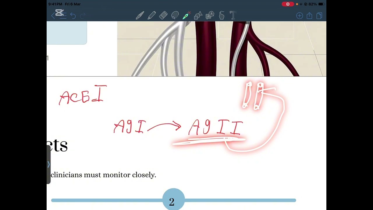 فارما نظري تكملة م٢