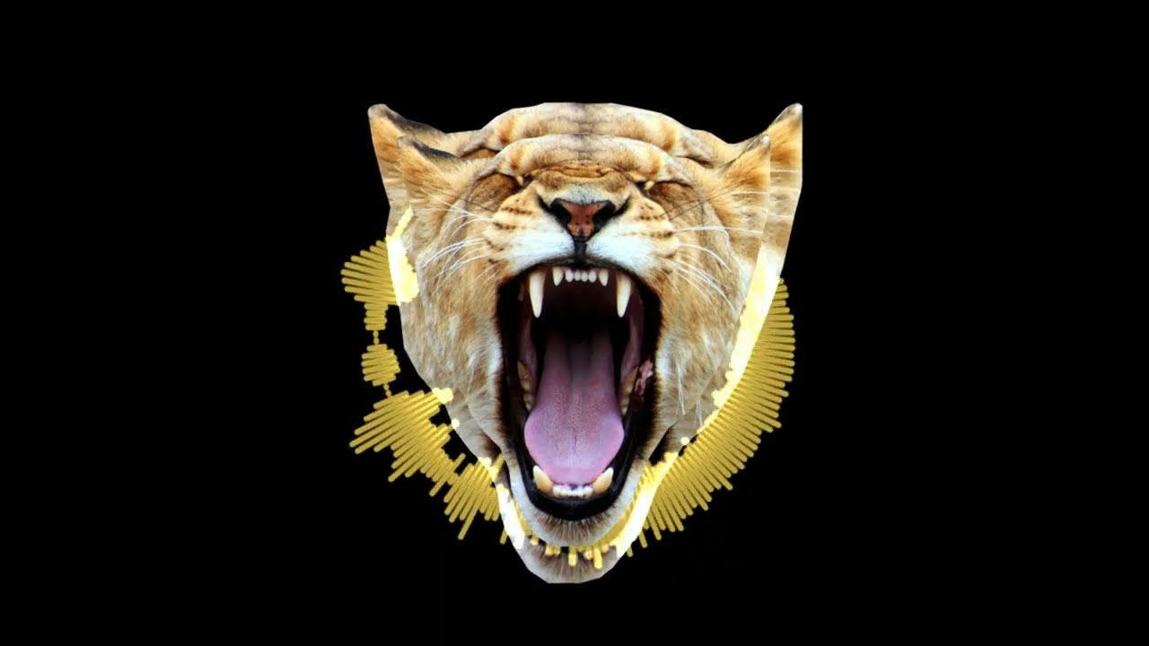 [Afro Trap] Type Beat - "Tribal Energy" 