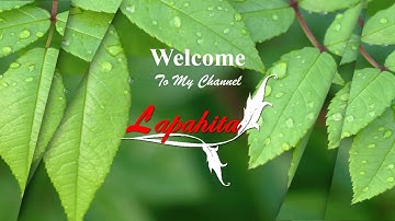 Sistem Persamaan Linear Dua Variabel (SPLDV) Metode Grafik - Matematika Kelas VIII