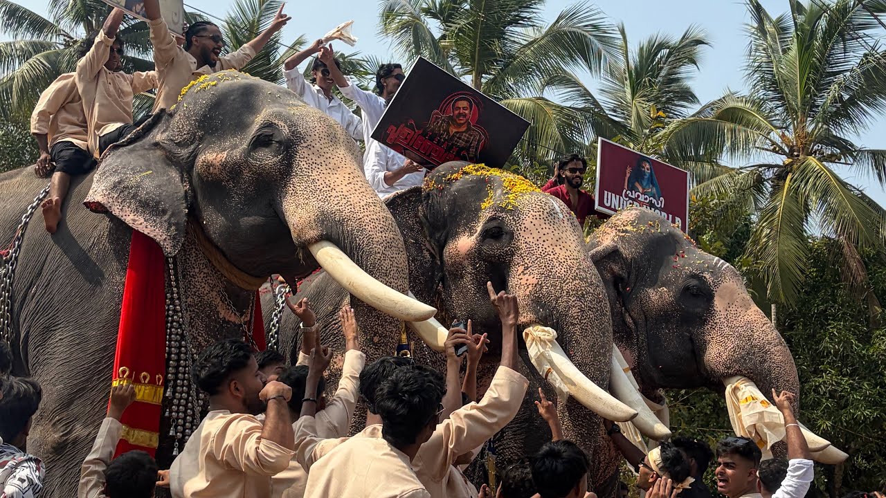 കക്കാട്ടിരി ഫെസ്റ്റ് 2026 😍 വർണ്ണ വിസ്മയം തീർത്ത് 💥