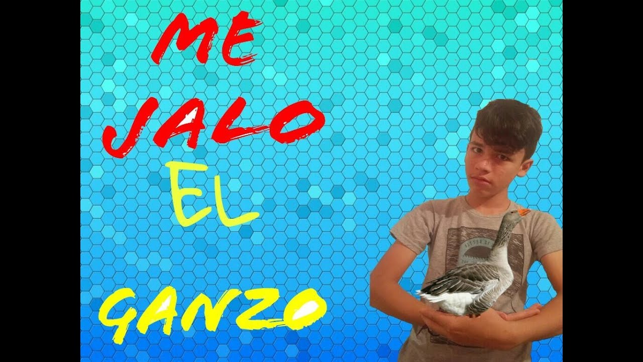 ¿ME JALO EL GANZO? preguntas Y respuestas YouTube